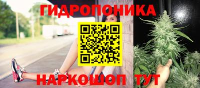 каннабис Ачхой-Мартан
