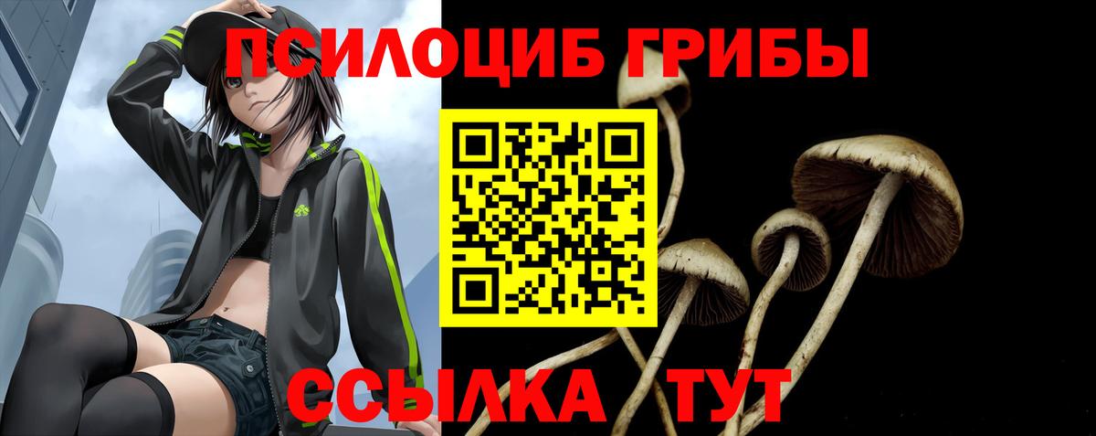 Балашиха  Псилоцибиновые грибы Psilocybe  Вход с VPN 